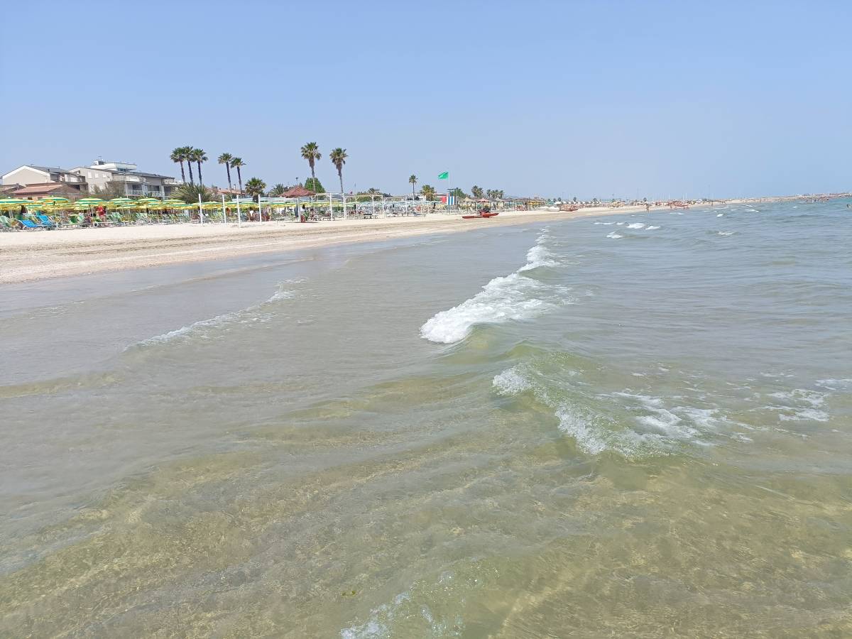 GAGA relax time - Photo 4