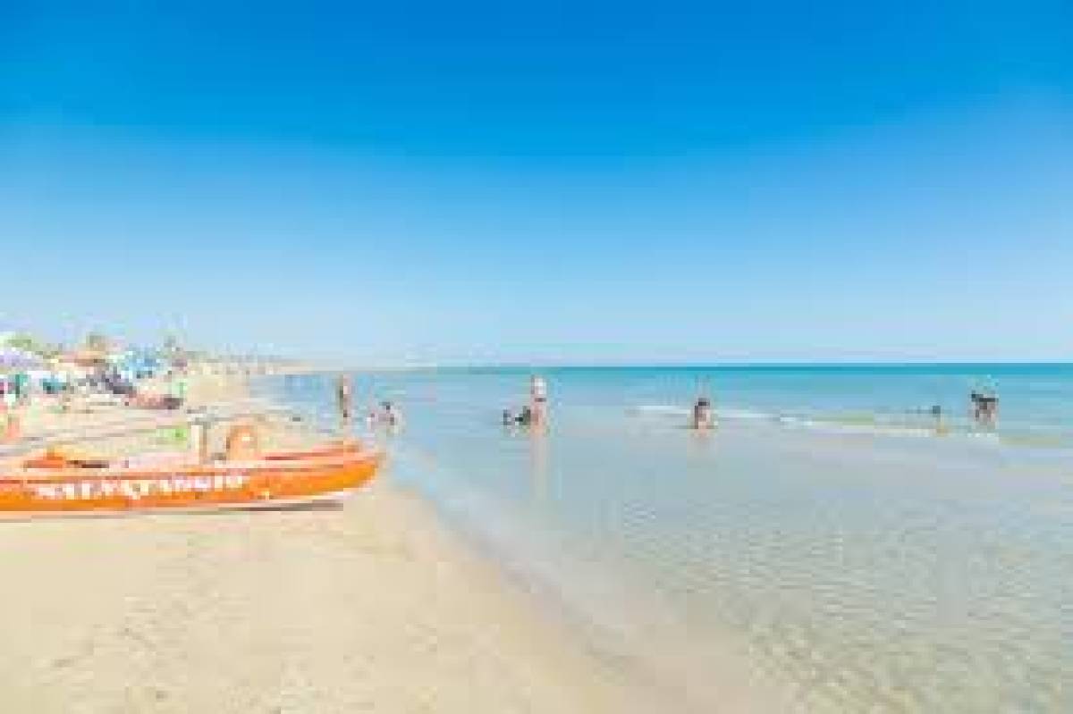 GAGA relax time - Photo 19