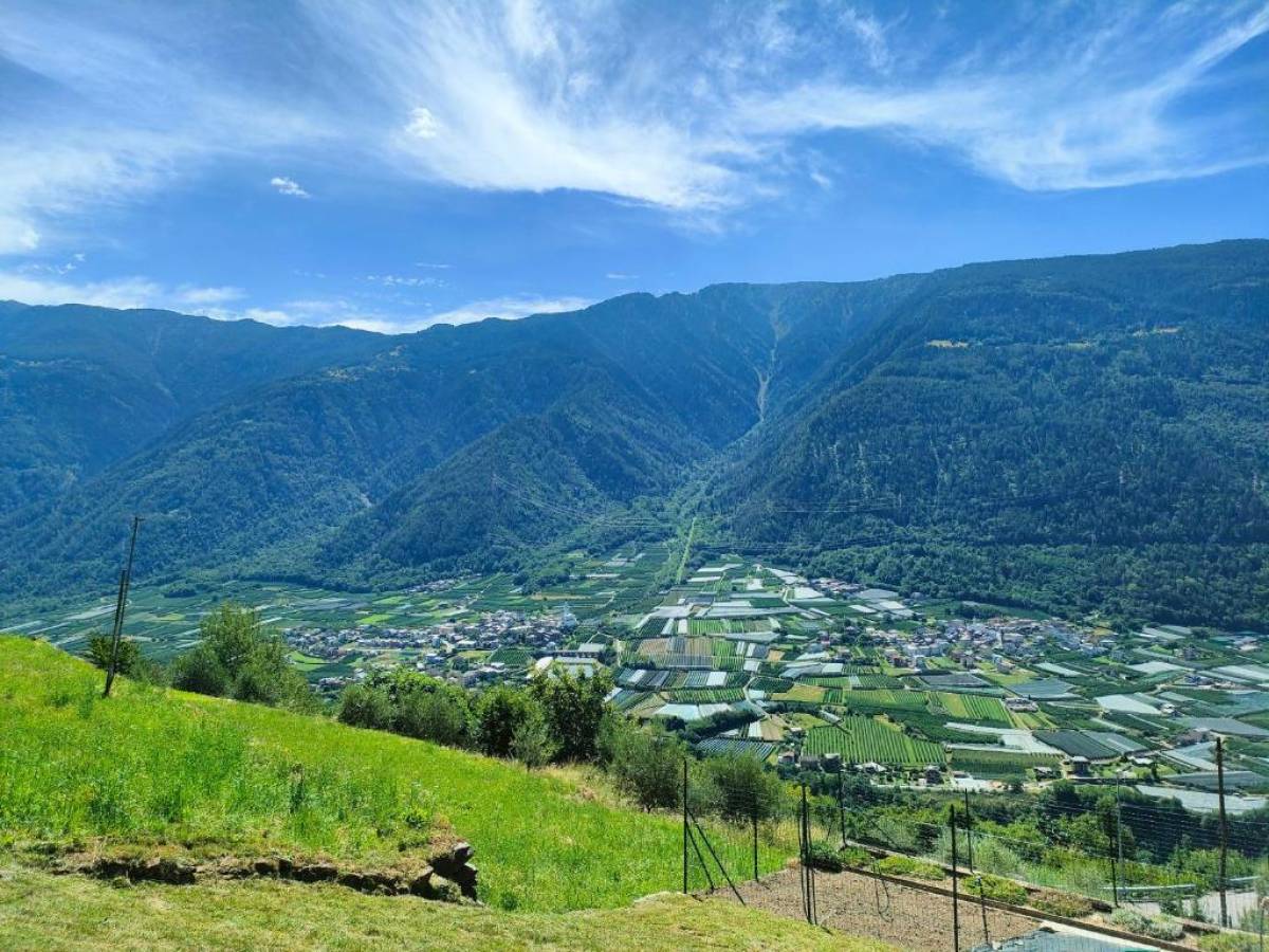 To.Speakers - Photo 11